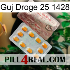 Guj Drug 25 1428 new13